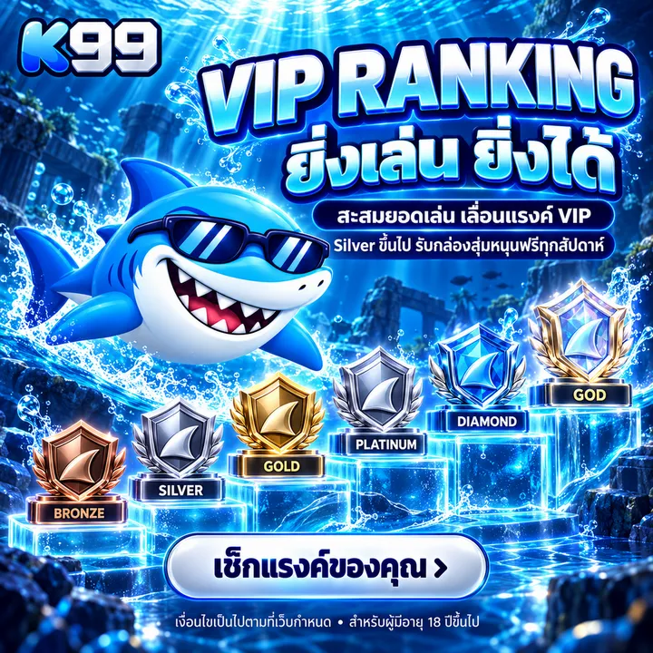 ระดับ VIP